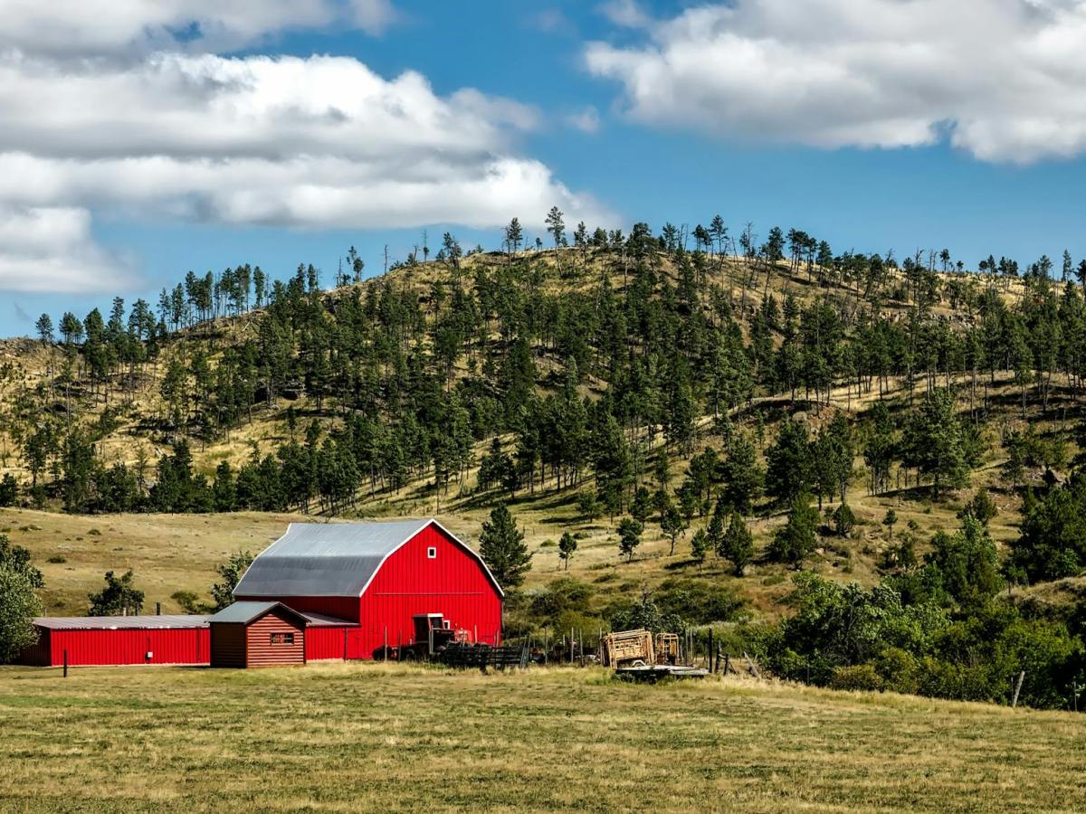 Book Review: Little Red Barns by Will&nbsp;Potter